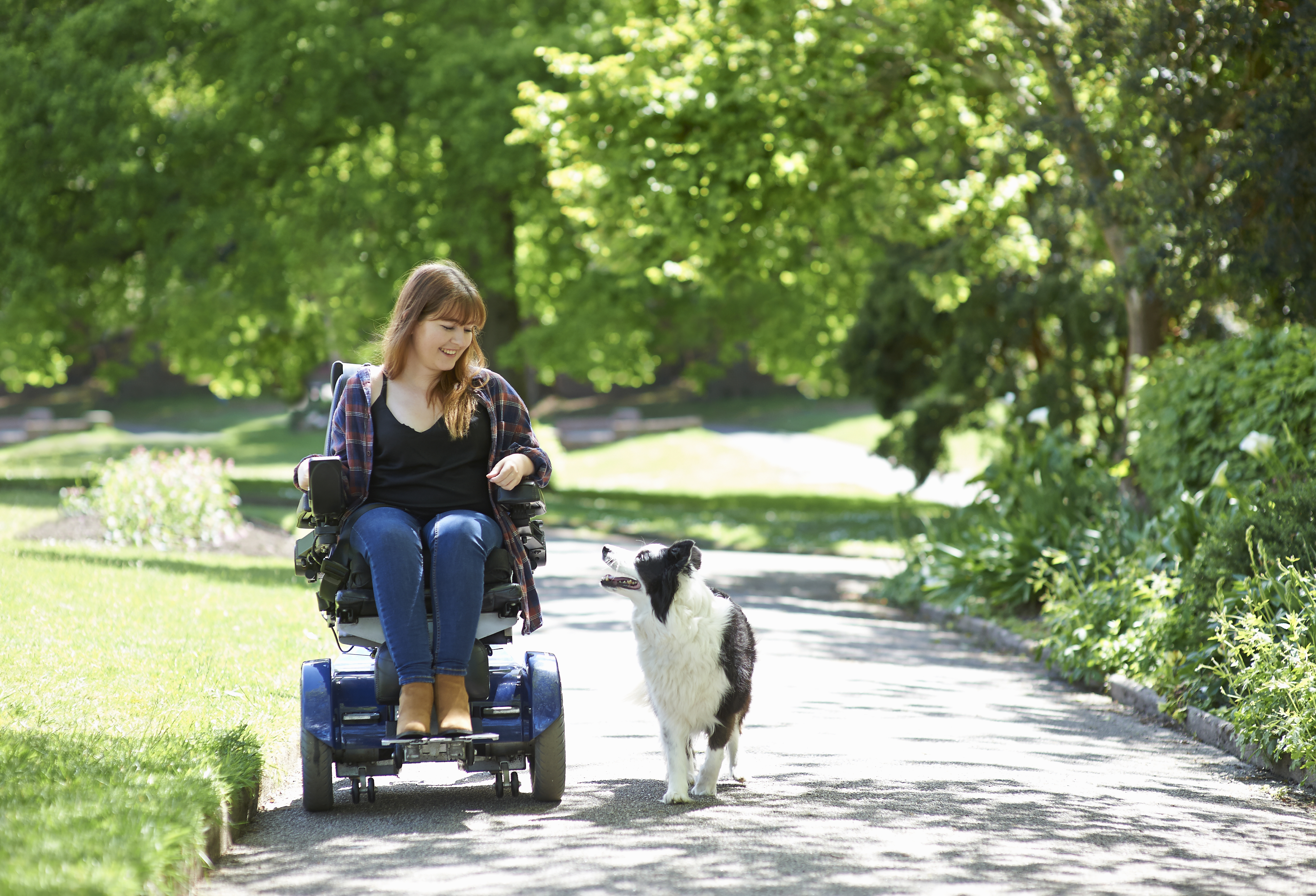Woman in Wheelchair Walking Dog in Park